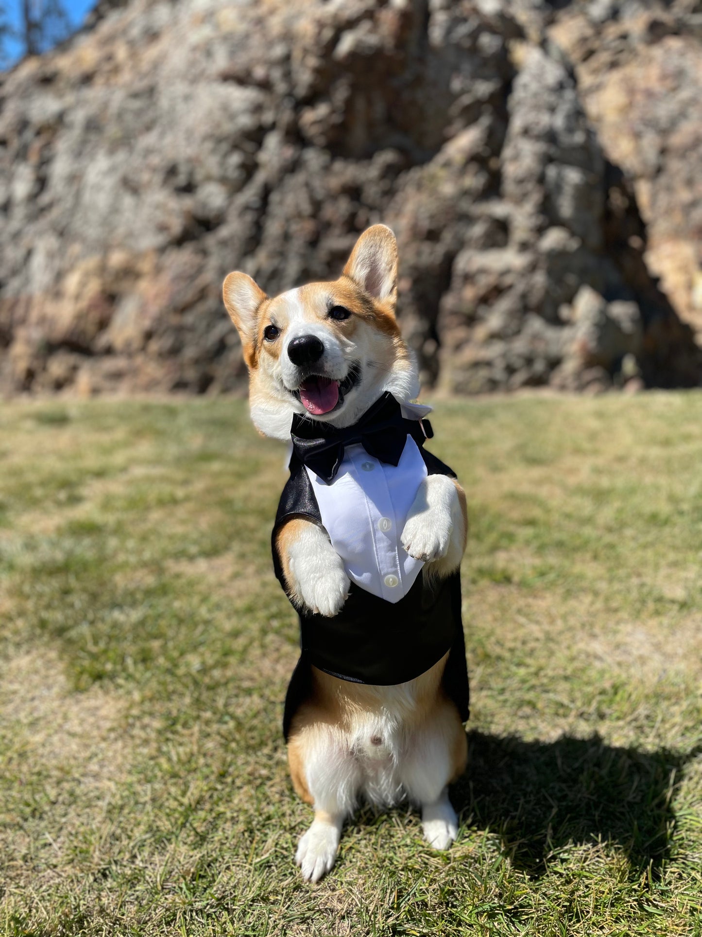 Custom-tailored Tuxedo