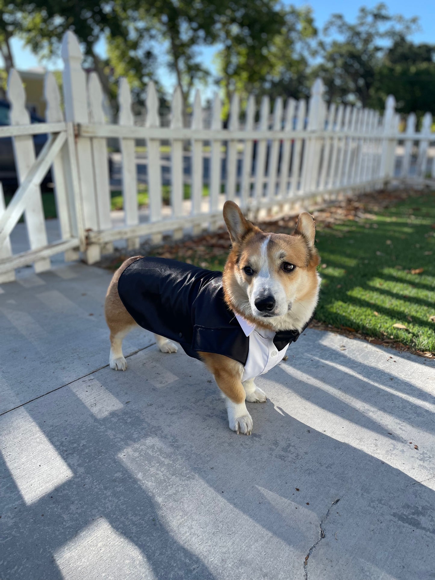 Custom-tailored Tuxedo