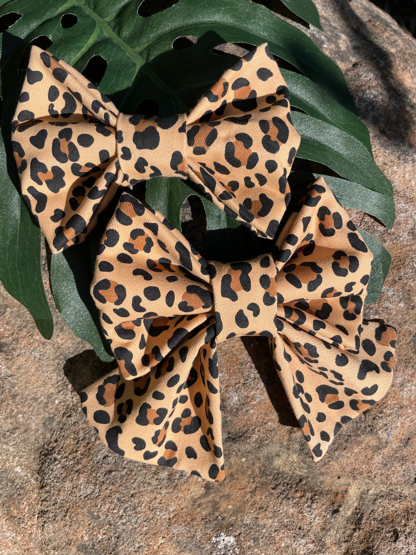 Seeing Spots