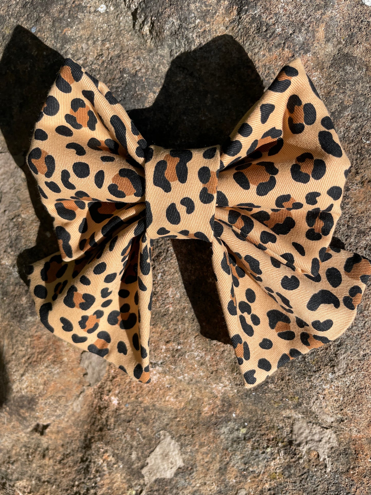 Seeing Spots