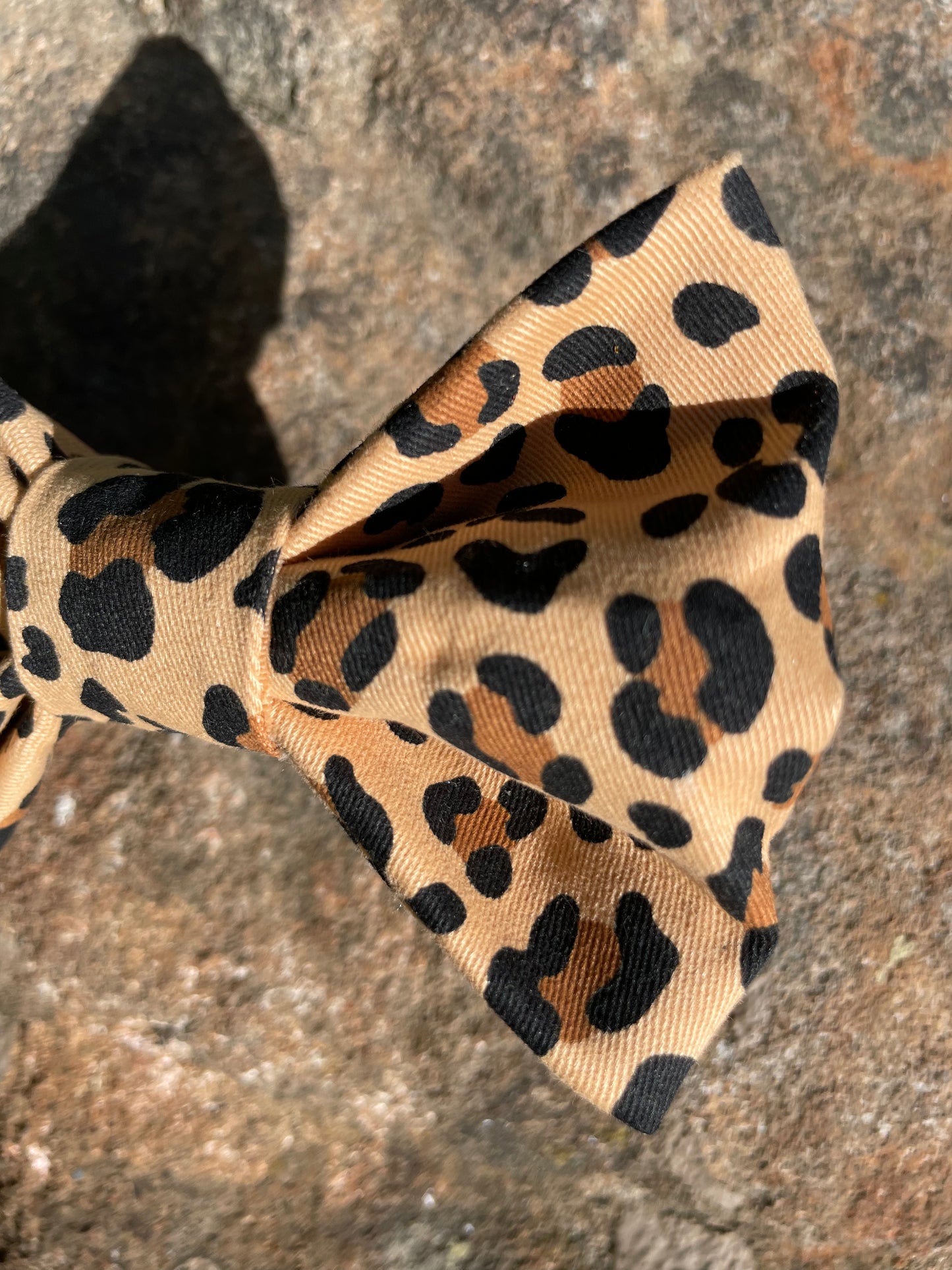 Seeing Spots