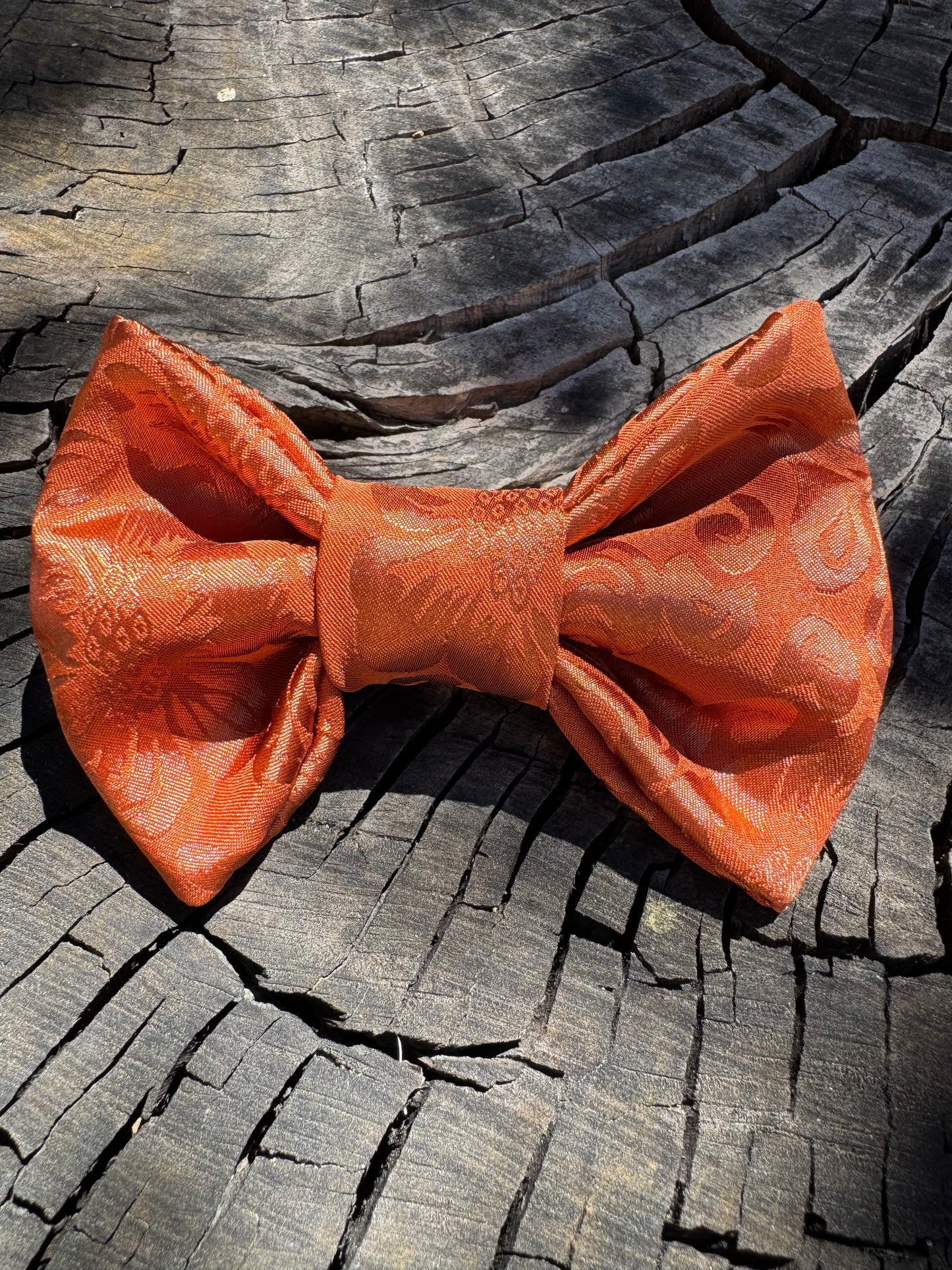 Class Pumpkin
