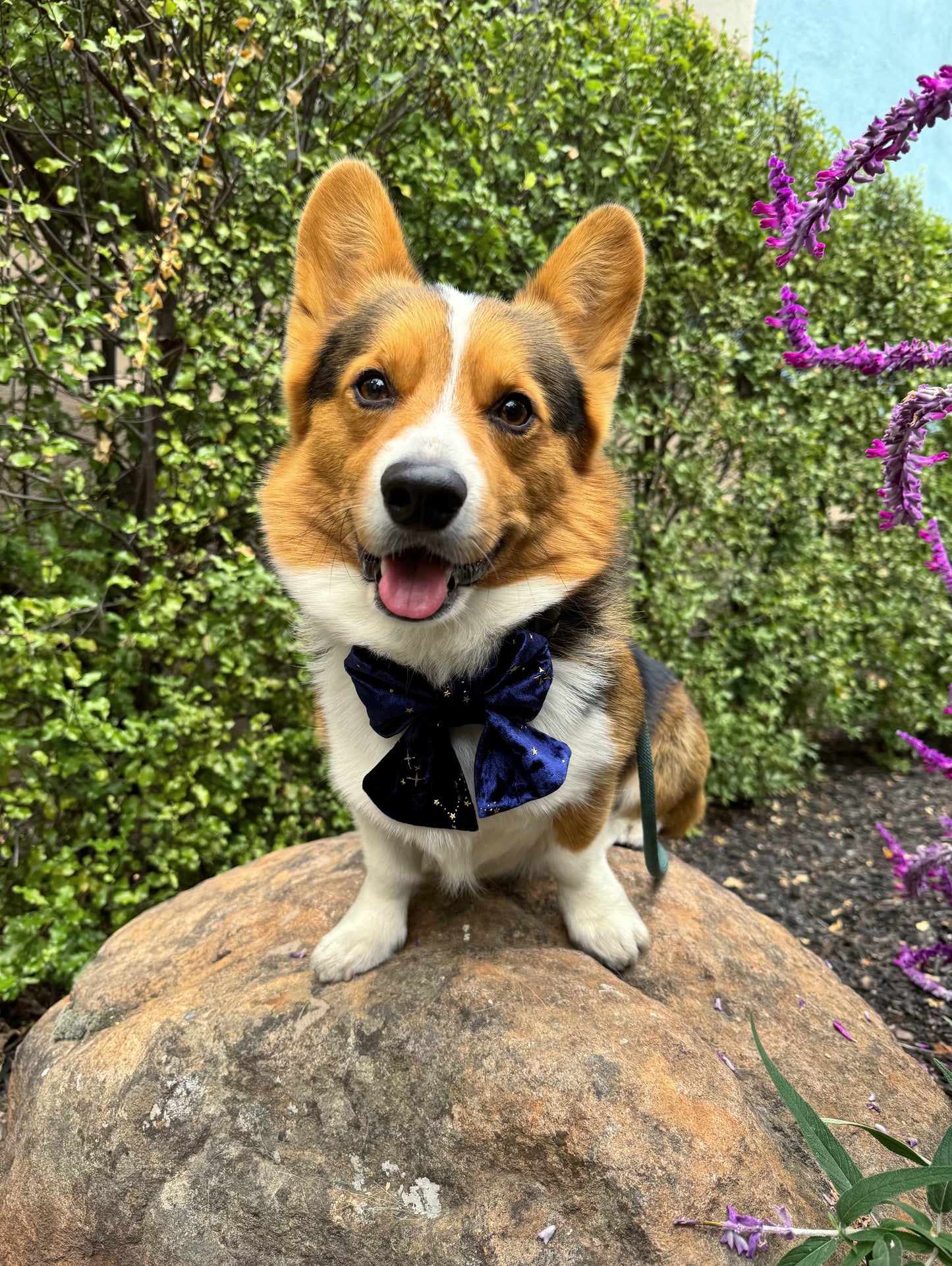 Reach FOUR the Stars